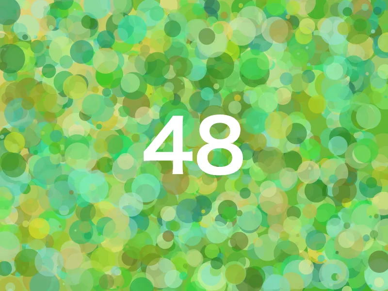 サンプル 48